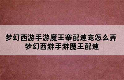 梦幻西游手游魔王寨配速宠怎么弄 梦幻西游手游魔王配速